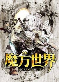 魔方世界冠军视频