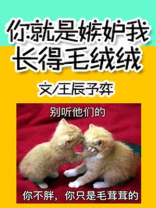你就是嫉妒我长得毛绒绒的人