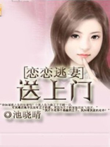 恋恋逃妻免费