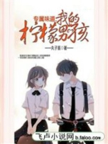我的柠檬精先生是什么小说改编的