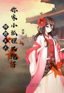 神君大人,你家小狐狸又跑了免费阅读