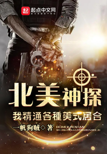 北美神探,我精通各种美
