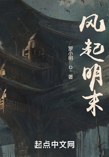 风起明末txt