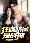 狂婿奶爸是战神免费阅读