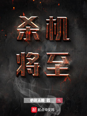 将杀战机
