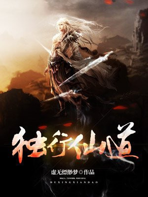 独行侠修仙小说
