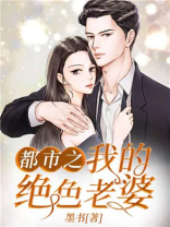 都市之我的绝色老婆小说