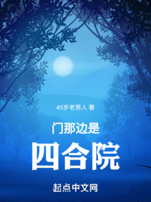 门那边是四合院小说起点
