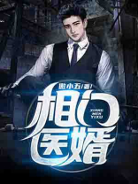 相门医婿txt