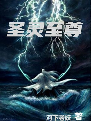 圣灵至尊传奇版本