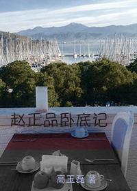 赵正品卧底记
