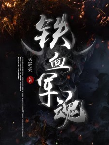 铁血军魂电视剧全集在线观看