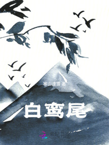 白鸾尾花的寓意和象征