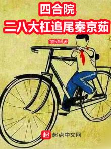 四合院:二八大杠追尾秦京茹
