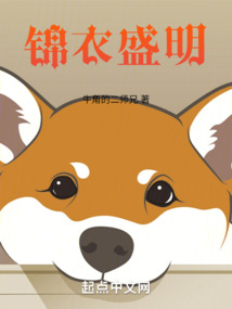 锦衣盛明最新章节更新
