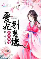 霸爱蛮妃 小说