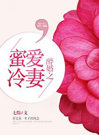 醉爱成婚叶总