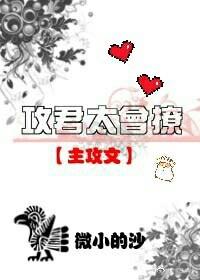攻君太会撩