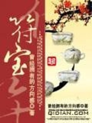 符宝小说