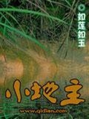 小地主穿越小说