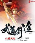 武道剑途小说免费阅读