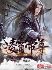 凌霄帝尊动漫免费观看