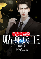 美女总裁的贴身兵王陈宵