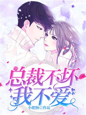 总裁不坏我不爱苍伶免费阅读