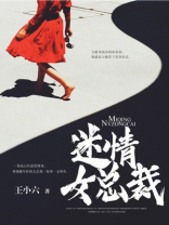 总裁情迷新宠全文阅读
