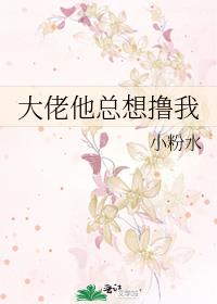 大佬他总想鲁我 小说