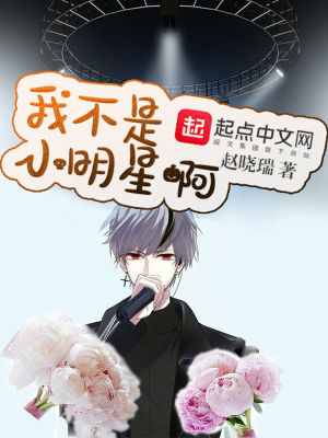 我不是明星小宝