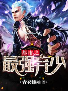 都市之最强弃少叶风免费完结版