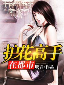 护花高手在都市有声小说