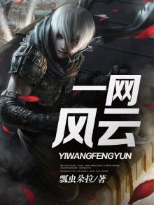 一网云cms