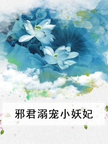 邪君溺宠小妖妃txt