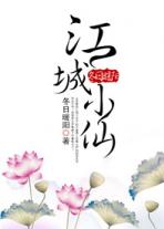 江城小说