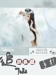 小狐狸的追妻日常