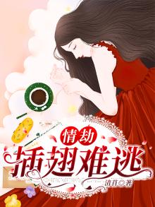 插翅难逃是什么剧
