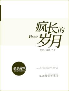 疯狂的岁月是什么意思