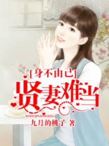 贤妻不好惹