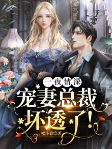 一夜情深,宠妻总裁坏透了!