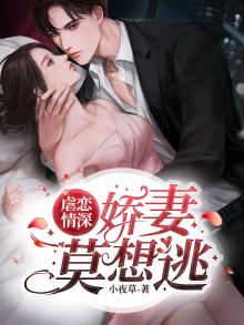 虐妻小说排行榜
