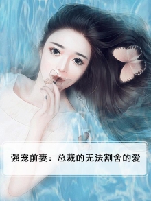 强宠前妻:总裁的无法割舍的爱小说