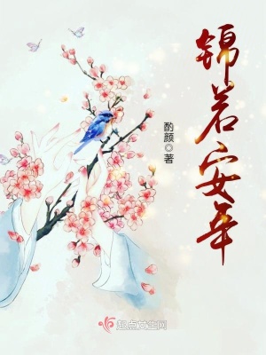 锦若安年小说