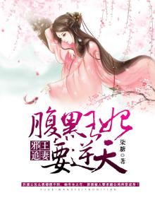 邪王追妻，腹黑王妃要逆天