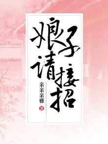 娘子请住手小说
