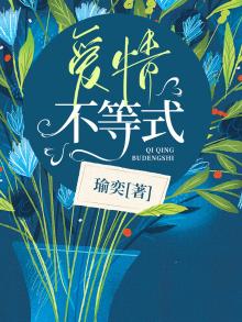爱情不等式电视剧免费观看