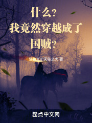 我穿越成一个国百度百科