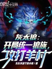 灰太狼带狼族攻打羊村