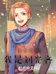 四合院之我是刘光齐的小说大全